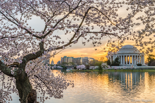 city horizontal architecture sunrise landscape outdoors landscapes spring outdoor historic cherryblossom government tonemapped