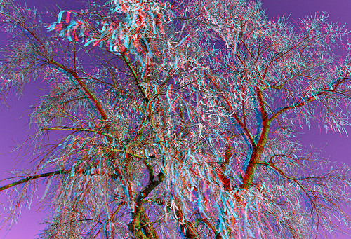 winter cold tree ice leaves canon germany eos frozen stereoscopic stereophoto stereophotography 3d europe raw saxony kitlens anaglyph stereo stereoview spatial 1855mm hdr redgreen 3dglasses hdri stereoscopy anaglyphic threedimensional stereo3d stereophotograph anabuilder vogtland redcyan 3rddimension 3dimage tonemapping 3dphoto 550d stereophotomaker 3dstereo 3dpicture quietearth anaglyph3d stereotron