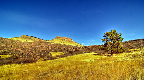 sun foothills tree nature colors grass landscape michael bush nikon colorado rocks lyon hills micha schaefer d300 hallranch ptf