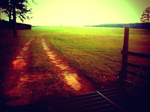road field mississippi landscape path trail pasture ms stylized meridian iphone camerbag