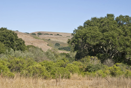 california ranch rural nikon september 2010 d80 nikond80