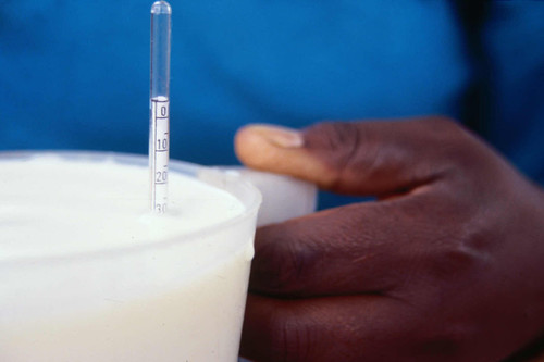 Testing milk in Kenya's informal market