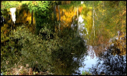 autumn reflection berlin fall colors herbst reflected langkawi spiegelung tiergarten naturesfinest gespiegelt füranna