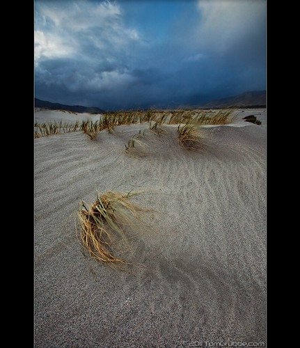 california storm grass rain landscape sand desert wind dune palmsprings