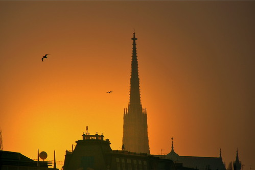 vienna city bird silhouette geotagged austria europe atmosphere postprocessing ststephenschurch