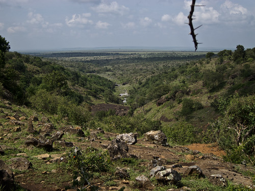 africa geography kenya maasaimaragamereserve olareorokconservancy