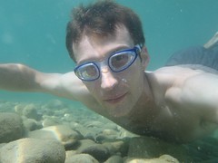 Swimming in Lake Geneva Image