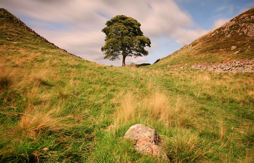 sycamore gap sycamoregap hadrians wall hadrianswall tree northumberland northumbria england uk united kingdom national park english great britain british long exposure september summer travel trip sky blue clouds green grass historic rock landscape view scenery scenic outdoors nature countryside light windy blur canon 70d sigma