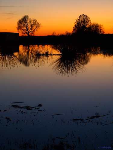 winter sunset reflection water silhouette reflections pond colorful tn dusk tennessee kentucky ky scenic silhouettes reflective waterhole shadowy fortcampbell ftcampbell rangeroad marketgardenroad