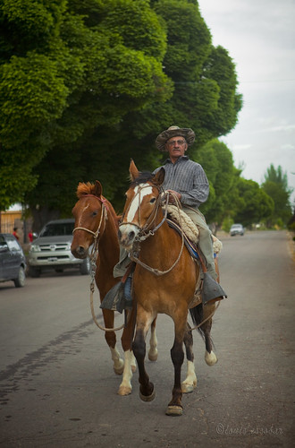 horse color argentina digital canon photography day mendoza gaucho anoxlou