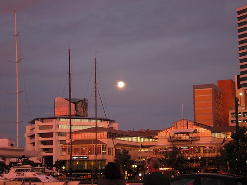 Picture of megamoon on Auckland waterfront.