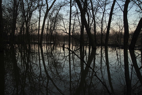 trees river winnipeg flood TGAM:photodesk=reflection