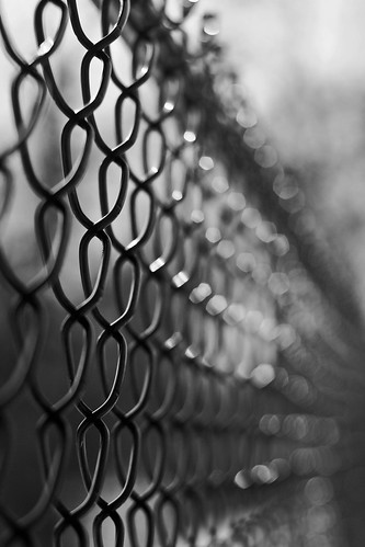 winter bw minnesota fence landscape 50mm blackwhite bokeh 18 hff 2011 niftyfifty jeanamariephotography