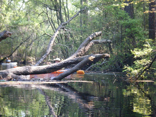 ga georgia unitedstates kayaking springfield paddling lcu ebenezercreek lowcountryunfiltered