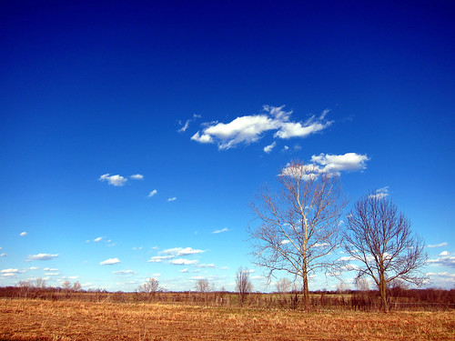 blue trees sky field clouds missouri plains canonpowershots95