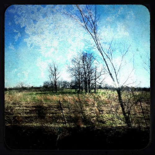 blue color tree skyline country iphone bestcamera iphoneography