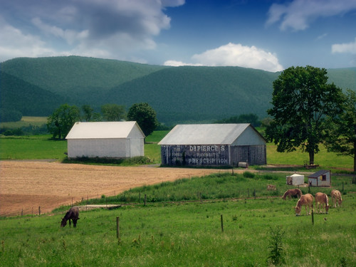 sky horses mountains field clouds rural landscape spring pennsylvania farm barns pasture valley cumulus creativecommons bigmountain clintoncounty nittanyvalley portertownship