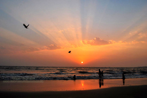 ocean sunset sea sky sun india sol beach atardecer mar indian playa cielo arabian oceano índico oceáno indico arabico arábico