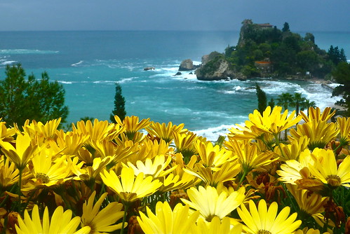primavera yellow mare sicily fiori contrasti pieraccio