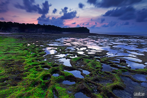 longexposure sunset sky bali cliff cloud plant seascape seaweed reflection nature water clouds seashells canon indonesia sand rocks dusk wideangle bluehour 1740 pantai denpasar balangan canon5dmkii 5dmkii daleallman
