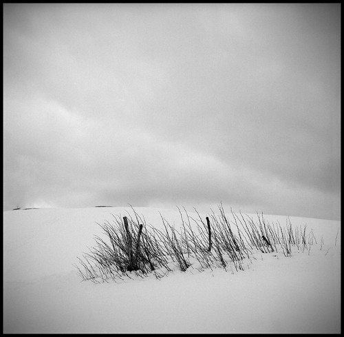 white snow black 120 6x6 film analog mediumformat landscape kodak hc110 minimal va neve bianco negativo ilford fp4 nero squared paesaggio rolleicord pellicola analogico medioformato hc10