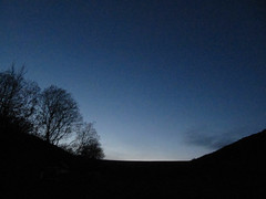 evening hillside