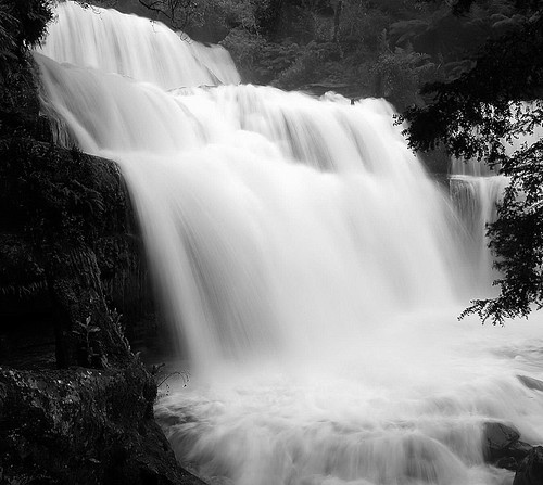 bw water waterfall nikon australia monotone liffey waterfalls tasmania cascade worldheritage liffeyfalls nothofagus liffeyriver nikone5700 blackwhitephotos blackwhitepics phunnyfotos