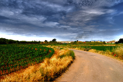 camino paisaje azucarera alagón ebrofotoalagon ebrofoto peterdux