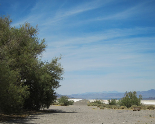 california railroad desert zzyzx mojavenationalpreserve desertstudiescenter caldesert