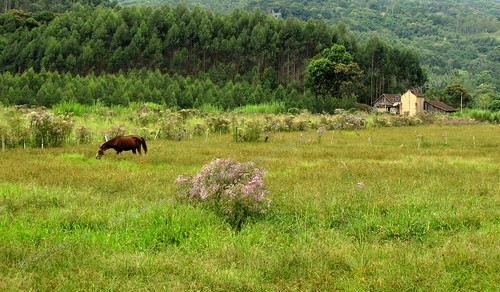 rural paisagem fields campos