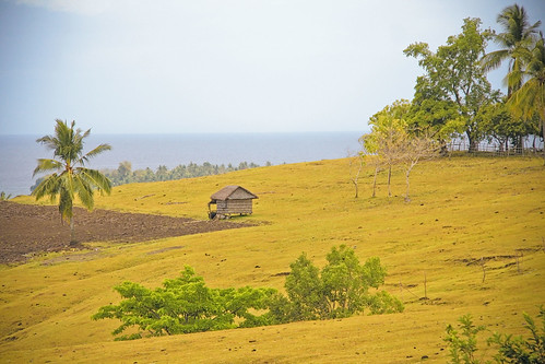 field countryside philippines hut ph phl tablas ferrol romblon lenareh tablasisland mimaropa regionivb