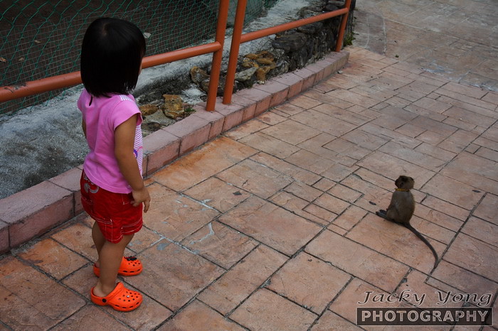 Kit Yan with a monkey. Nice monkey monkey
