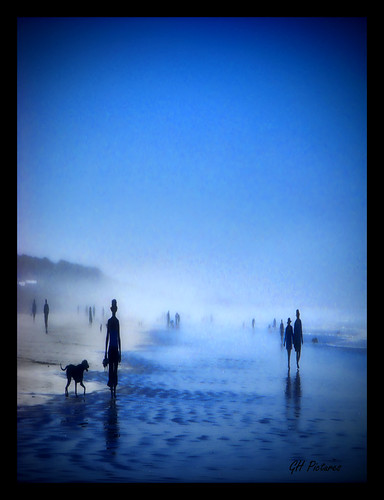 dog sun mist beach beautiful walking coast seaside haze sand stretch shore goolwa flickraward mbpictures