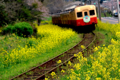 japan landscapes wave railway 日本 kominato 鉄道 小湊鐵道 沿線風景