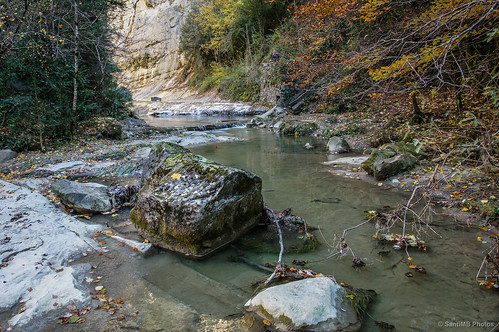 autumn españa rock río river otoño roca cataluña osona sal18250 santamariadebesora