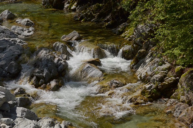 サントリー南アルプスの天然水ふるさと体験ツアー2014