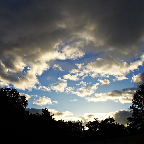 sky clouds sunrise pacificnorthwest 365 kenmore 2014 wawashington