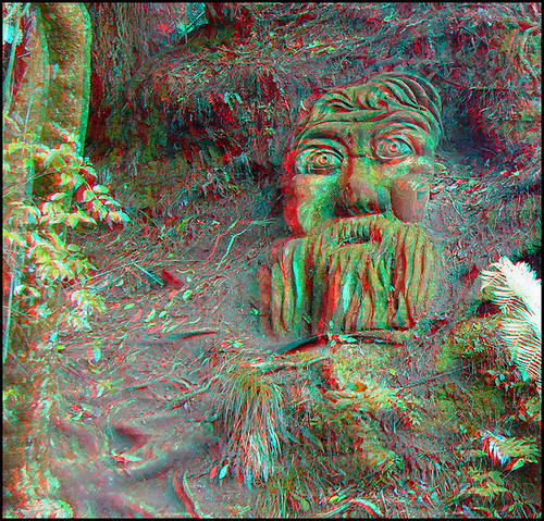 3d anaglyph stereo nz hamiltongardens