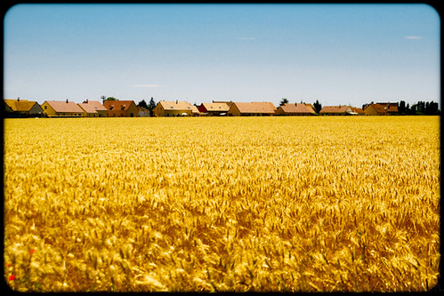 houses france digital canon burgundy roadtrip bourgogne f28 wheatfields côtedor 50d routedesgrandscrus tamronapaf2875mmf28xrdi