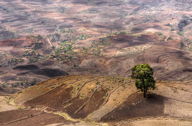 ethiopia landscape