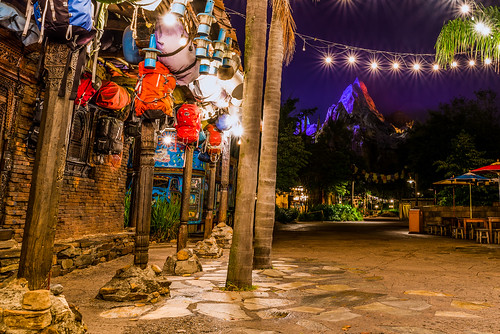 world light expedition animal night zoo lights orlando nikon long exposure florida zoom kingdom disney popcorn wdw standard walt tamron everest hdr starburst attraction d610 3xp