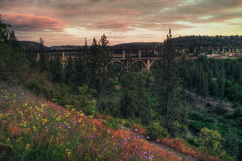 park bridge flowers trees sunset wild usa train washington woods spokane sigma browns addition foveon dp1