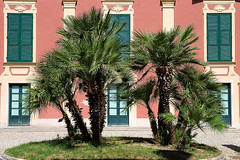 Royal Palace Museum, Genoa