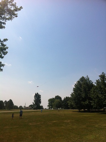 kite flying reese