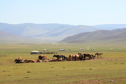 geotagged mongolia ulaanbaatar mng geo:lat=4774809630 dzuunmod geo:lon=10679419041