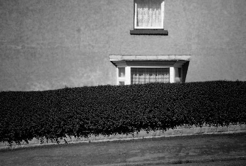 windows bw white black film sheffield hill hedge rule halina thirds 35x