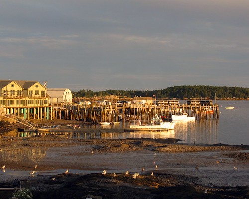 sunset boats golden harbor dock gulls maine lowtide picnik stonington