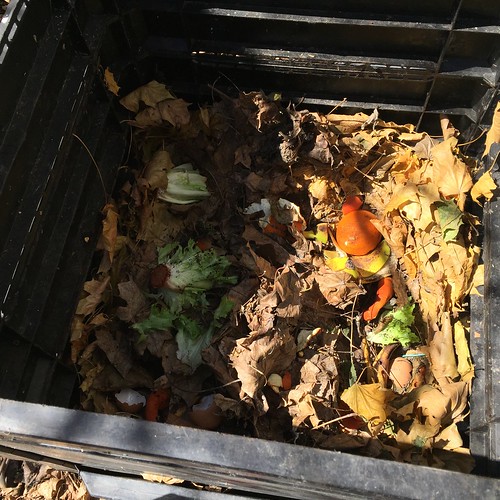 Checking the inside of the compost bin