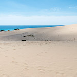 Dunes national Park in Corralejo, Fuerteventura