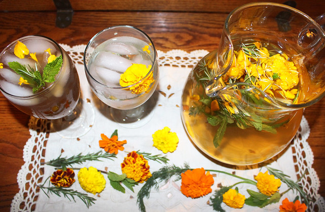 Refreshing Herbal Beverage Kit